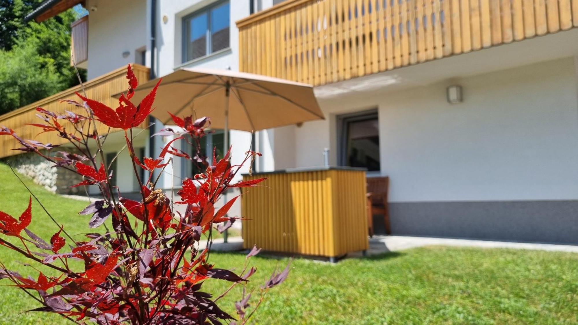 Apartments Vila Darja Bohinj Ngoại thất bức ảnh